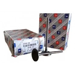 Valvula Escape Peugeot 206 207 307 S30 Centauro Citroen