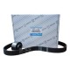 Kit Tiempo Festiva Turpial Mazda 323 Demio 107 Dientes