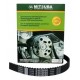 Correa Tiempo Optra Limited 169 Dientes Doble Costura