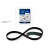 Correa Tiempo Elantra Tucson Sportag 2.0l T284rb 24312-23202