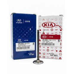 Valvula De Admision Motor 1.5l Para Kia Rio