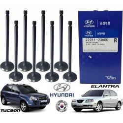 Valvula Admision Elantra Tucson Motor 2.0l
