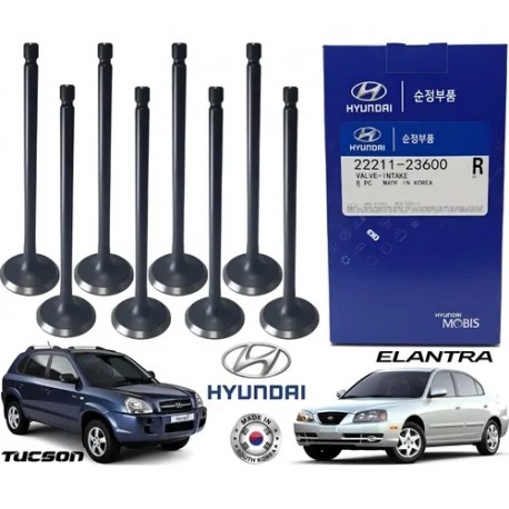 Valvula Admision Elantra Tucson Motor 2.0l