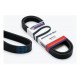 Correa Unica Ford Fiesta Balita Ka Direccion Mecanica 6pk217